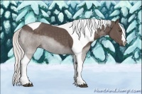 Horse Color:Silver Black Tobiano