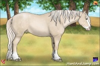 Horse Color:Palomino Pearl Sabino Splash