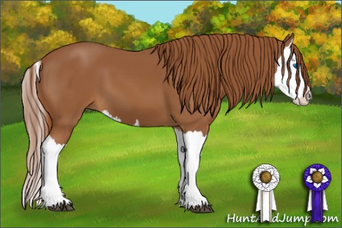 Horse Color:Chestnut Splash 