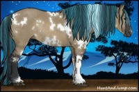 Horse Color:Painted White Spotted Brown Dun Rabicano 