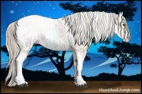 Horse Color:Silver Grullo Ice Tobiano Blanket Rabicano 