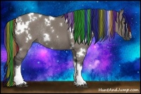 Horse Color:Painted White Spotted Grullo Rabicano