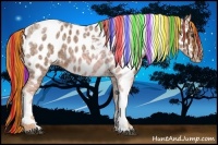 Horse Color:Painted Chestnut Ice Tobiano Appaloosa 