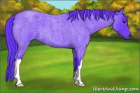 Horse Color:Watercolor Blue Roan