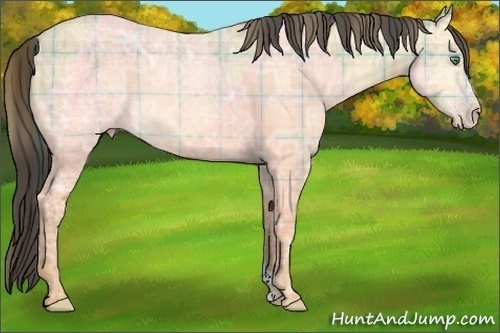 Horse Color:Plaid Amber Cream Champagne Ice