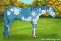 Horse Color:Watercolor Black Ice 