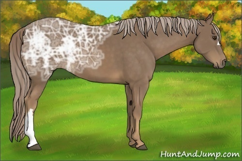 Horse Color:Chocolate Palomino Ice