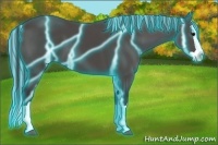 Horse Color:Painted Thunderstruck Black Splash 