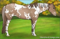Horse Color:White Spotted Black Pearl 