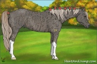 Horse Color:Chocolate Palomino Ice 