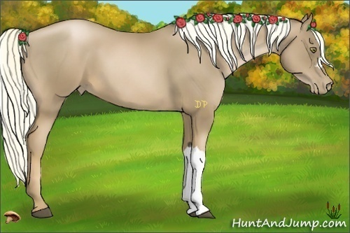 Horse Color:Liver Chestnut Pearl