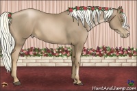 Horse Color:Liver Chestnut Pearl 
