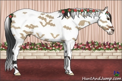 Horse Color:Bay Dun Splash Tobiano 