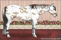 Horse Color:Bay Dun Splash Tobiano 