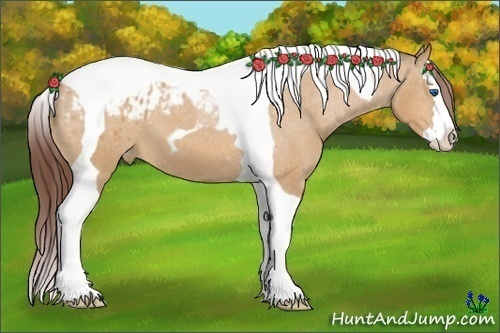 Horse Color:Bay Dun Splash Tobiano Appaloosa 