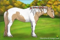 Horse Color:Red Dun Tobiano