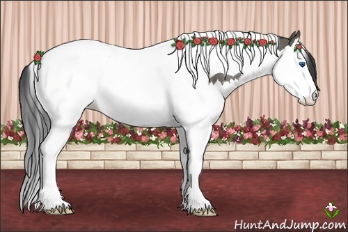Horse Color:Grullo Splash Tobiano Rabicano