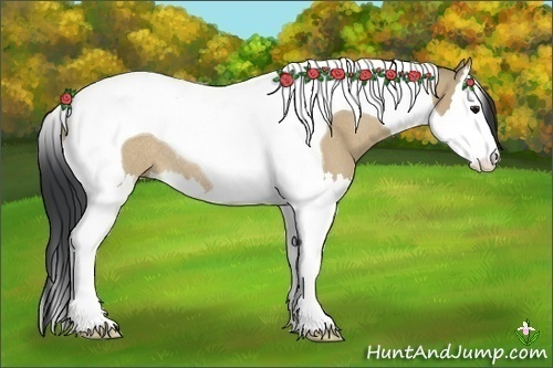 Horse Color:Bay Dun Splash Tobiano Rabicano