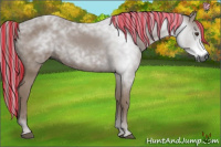 Horse Color:Gray Painted Chestnut 