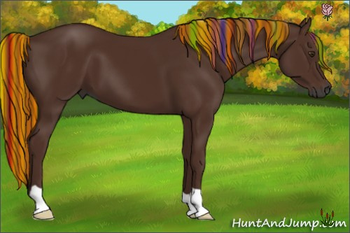 Horse Color:Gray Painted Chestnut 