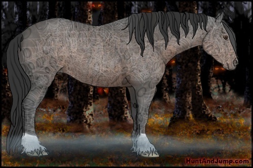 Horse Color:Liver Chestnut Ice 