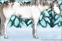 Horse Color:White Spotted Silver Brown Onyx 