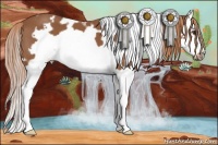 Horse Color:White Spotted Chestnut Splash Frame