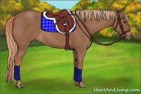 Horse Color:Red Roan 