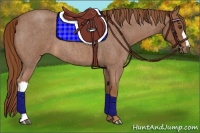 Horse Color:Red Roan 