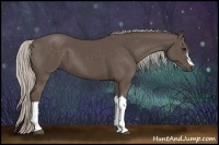 Horse Color:Silver Black 