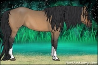 Horse Color:Brown Roan Dun 