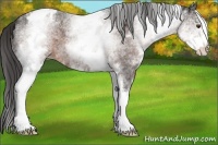 Horse Color:White Spotted Liver Red Roan Varnish 