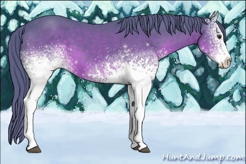 Horse Color:Watercolor White Spotted Liver Chestnut 