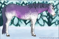 Horse Color:Watercolor White Spotted Liver Chestnut 