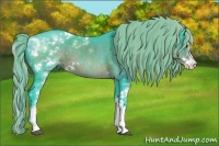 Horse Color:Watercolor Liver Chestnut Sabino