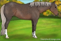 Horse Color:Silver Black 