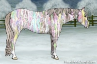 Horse Color:Silver Black Ice