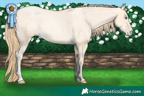 Horse Color:Buckskin Roan Pearl  and Buckskin Roan Pearl 