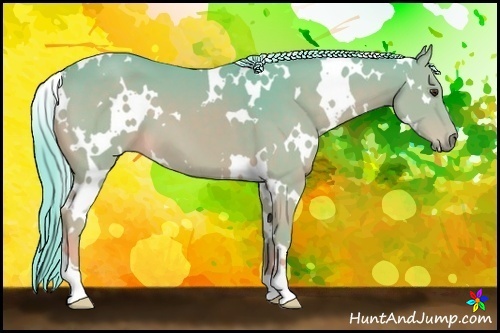 Horse Color:Watercolor White Spotted Chocolate Palomino