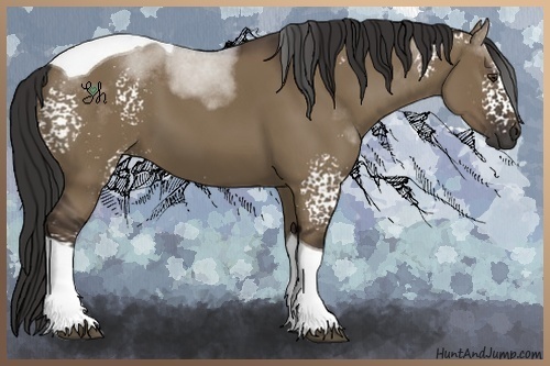 Horse Color:White Spotted Liver Red Dun Tobiano 