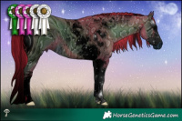 Horse Color:ERROR: UNKNOWN ANOMALY