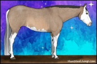 Horse Color:Bay Roan Dun Splash