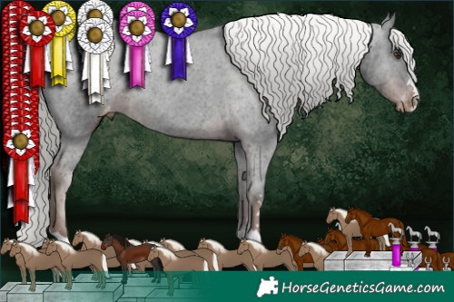 Horse Color:Liver Chestnut Mushroom Appaloosa 