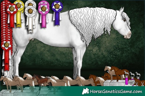 Horse Color:Liver Chestnut Mushroom Appaloosa 