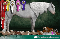 Horse Color:Liver Chestnut Mushroom Appaloosa 