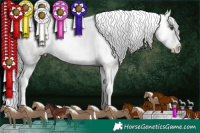 Horse Color:Liver Chestnut Mushroom Appaloosa 