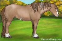Horse Color:Brown Pearl Sabino