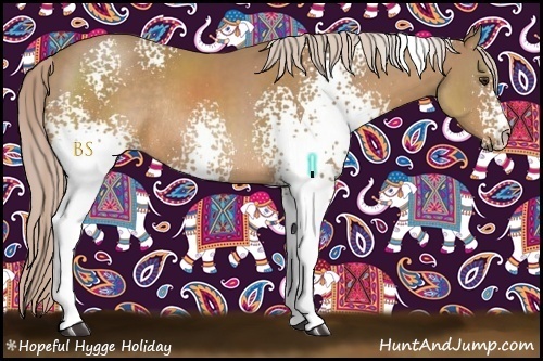 Horse Color:White Spotted Palomino Sabino Rabicano 