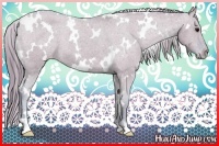 Horse Color:Watercolor White Spotted Grullo Appaloosa 