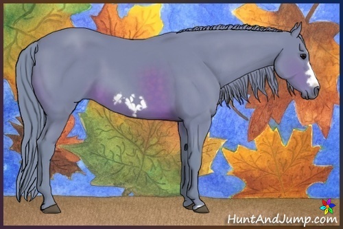 Horse Color:Watercolor Brown Frame 